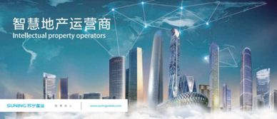 蘇寧置業(yè)躋身中國(guó)房地產(chǎn)公司品牌價(jià)值TOP20，互聯(lián)網(wǎng)數(shù)據(jù)服務(wù)成新引擎